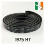 1975 H7 AEG  Dryer Belt 09-EL-04C Buy from Appliance Spare Parts Direct Ireland.