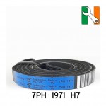 Genuine Tumble Dryer Belt (1971 H7) 09-EL-71A